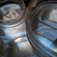Cloti Ricciardi. Il piacere dell&rsquo;acqua