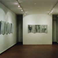 Rita Mele "Visibilit&agrave; evanescenti"