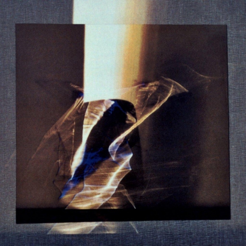 Alba Savoi. Pieghe di luce 2007-2014