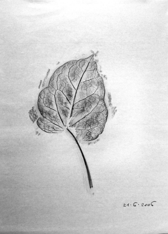 Silvia Stucky.  L&rsquo;acqua &egrave; senza io